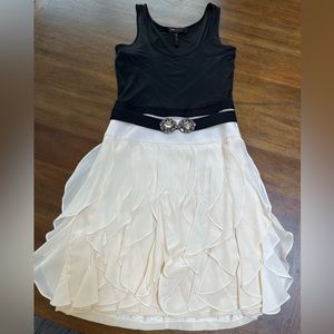 BCBG fit and flair dress